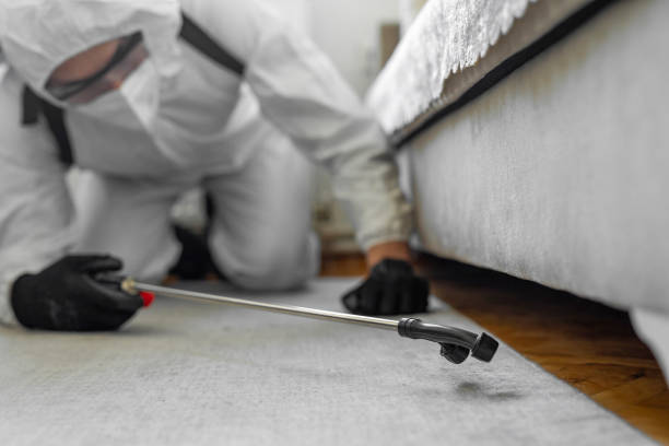 Professional Bed Bug Control technician working in Mayville, MI